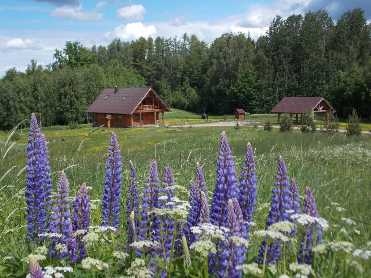 Дома для отпуска Guest House Kalniņi Карли