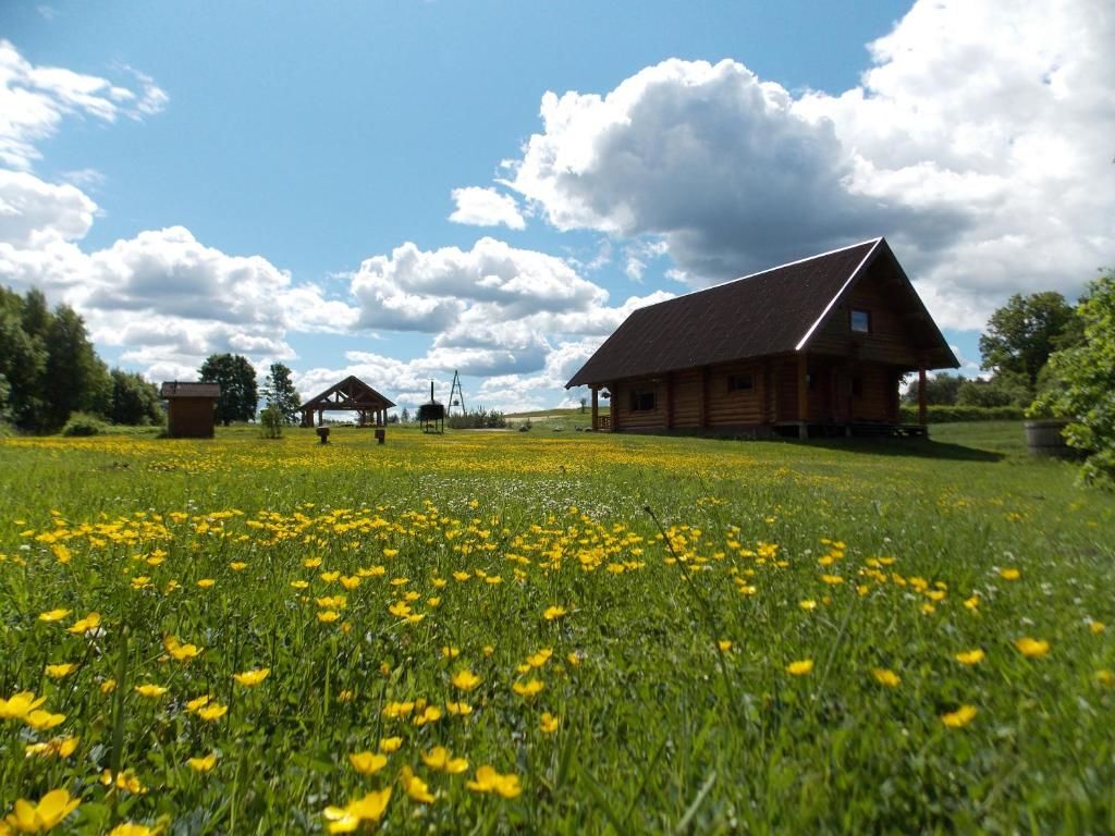 Дома для отпуска Guest House Kalniņi Карли-86